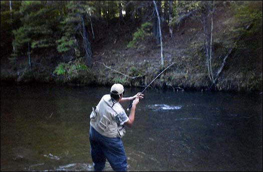 Streamer Fishing for Big Trout