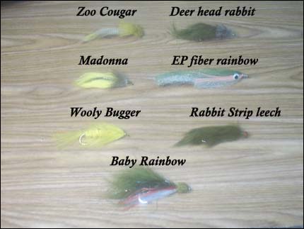 fish Streamers